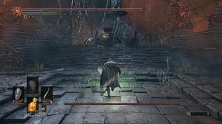 DARK SOULS III Benifore Clump vs Dragonslayer Armour [upl. by Jamill]