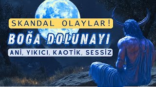 Skandal Olaylar Beklenmedik Duygusal Patlamalar Yanlış Kararlar 16 Kasım Boğa Dolunayı [upl. by Sabanrab]