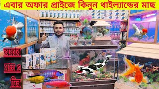 Aquarium Fish Price In katabon 2024🐠🐠 Aquarium Fish Price  Aquarium  AR Rahman aquarium 🐠🐠 [upl. by Michele]