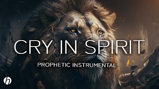 CRY IN SPIRIT PROPHETIC WORSHIP INSTRUMENTAL  THEOPHILUS SUNDAY MEDITATION MUSIC [upl. by Mharg]