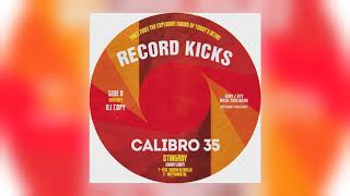 Calibro 35  Stingray feat Serena Altavilla [upl. by Eimma768]