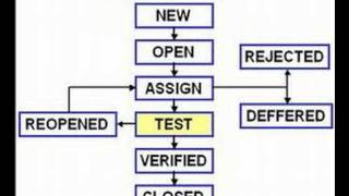 Software Testing Bug Life Cycle [upl. by Ahsitauq]