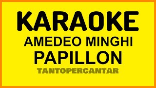 PAPILLON Amedeo Minghi KARAOKE [upl. by Dulcine57]