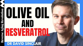 DAVID SINCLAIR “Olive Oil amp Resveratrol”  Dr David Sinclair Interview Clips [upl. by Tullius615]