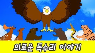 한국어ㅣ의로운 독수리 이야기 동물 이름 외우기 어린이 동물 만화ㅣ꼬꼬스토이 [upl. by Charyl]