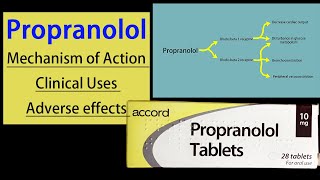 Propranolol Pharmacology Mechanism of Action  Clinical Uses  Adverse Effects [upl. by Gnuy669]