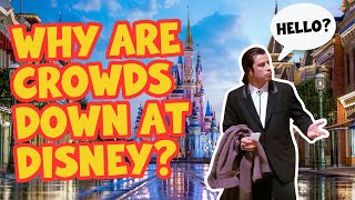 Why Are Crowds Down At Disney World This Summer [upl. by Enoval]