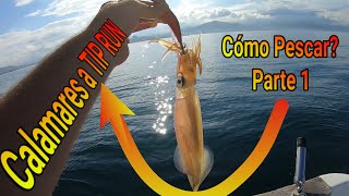 🔴COMO pescar CALAMARES a TIP RUN desde EMBARCACIÓN 1ª Parte Eging [upl. by Aronle]