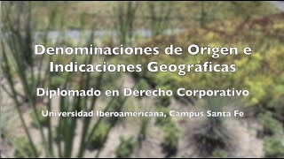 Denominaciones de Origen e Indicaciones Geográficas UIA 2019 [upl. by Rodl987]