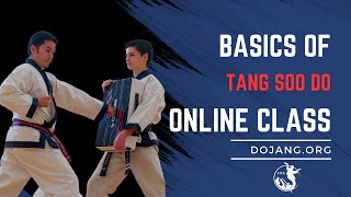 Basics of Tang Soo Do Soo Bahk Do [upl. by Akiria]