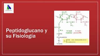 Artritis y Poliartritis Estafilocócica p1 [upl. by Aninahs854]