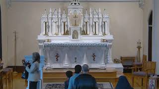 Sunday Morning Catholic Mass for November 24 2024 830 AM Mass [upl. by Beatriz]