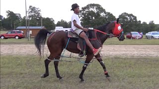 Standardbred Horse Racing at Texas Gum Springs Race Track [upl. by Anahcar683]