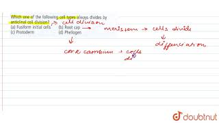 Which one of the following cells types always divides by anticlinal cell division [upl. by Animehliw140]