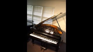 Illustrious Bosendorfer grand piano [upl. by Rochemont]