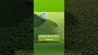 GRAMA DECORATIVA [upl. by Afnin]