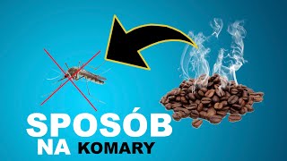 Jak odstraszyć KOMARY ❌Prosty domowy sposób jak pozbyć się komarów z domu i ogrodu 💚🆘 [upl. by Oswal]