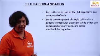 Cellular Organisation  Class 11  Biology [upl. by Culhert96]