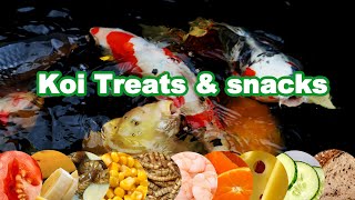 Koi food Treats and Feeding  Feeding Koi experiment [upl. by Broucek537]