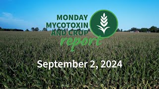 Monday Mycotoxin and Crop Report for September 2 2024 [upl. by Wetzell508]