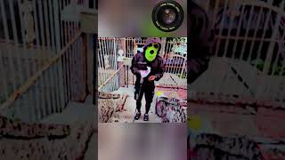 Benefits of doorbell camera [upl. by Jase102]