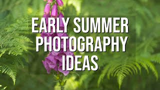 Early Summer Landscape Photography Ideas  After Sunrise [upl. by Leicam]