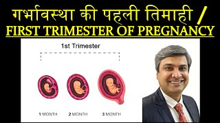 गर्भावस्था की पहली तिमाही  FIRST TRIMESTER OF PREGNANCY [upl. by Noda]