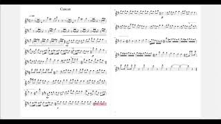 Cancan Flute Solo  Sheet Music For Flute [upl. by Atiluap866]