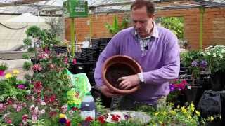 How to plant a hanging basket for Summer Colour  The Pavilion Garden Centre Cork [upl. by Nisen330]