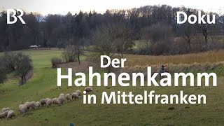 Der Hahnenkamm in Mittelfranken Rau und ruhig  Zwischen Spessart und Karwendel  Doku  BR [upl. by Yseulta]