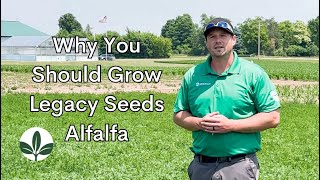 Why You Should Grow Legacy Seeds Alfalfa [upl. by Liamaj]