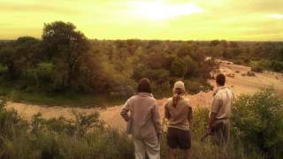 Tanda Tula Field Camp Timbavati Private Nature Reserve Greater Kruger [upl. by Ahsiemac]