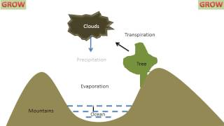 Hydrological Cycle [upl. by Pruchno46]