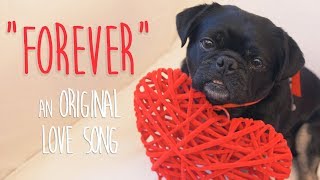 Best Dog Song Ever plus Rescue Dog Video quotForeverquot😍 [upl. by Shaner539]