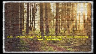 das ehemalige KZ Außenlager Tannenberg bei Unterlüß [upl. by Hakim]