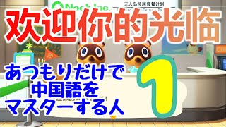 あつもりだけで中国語をマスターする人｜学中文的日本人｜1 [upl. by Tshombe]