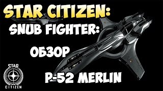 Star Citizen Snub Fighter Обзор P52 MERLIN [upl. by Edrahs]