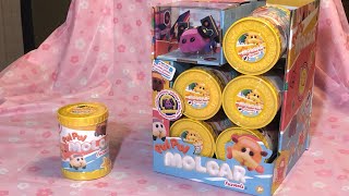 Pui Pui Molcar Mini Figure Blind Box FULL DISPLAY Unboxing and Review [upl. by Fari]