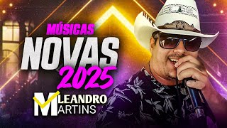 Leandro Martins Xotão 2025 Musicas Novas 2025  03 [upl. by Ainitsirhc]