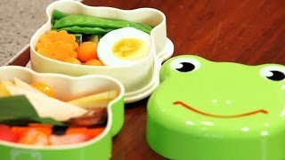 How to Put Together Bento Box for Kids  Bento Box [upl. by Simon]