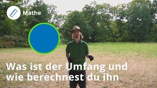 Umfang berechnen So geht´s  Mathe  Duden Learnattack [upl. by Rebane]