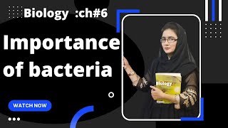 IMPORTANCE OF BACTERIA Economic importance of bacteria class 11 urduhindi [upl. by Dominick13]