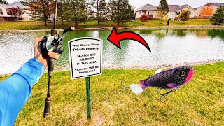 Fishing PRIVATE ponds for TOPWATER BASS [upl. by Aubrey]