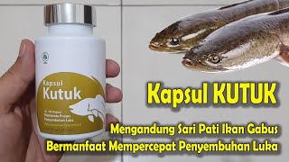 Review Kapsul KUTUK Mengandung Albumin Sari Ikan gabus Mempercepat Penyembuhan Luka amp Operasi [upl. by Tinya159]