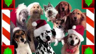 Zingende Honden  Jingle Bellsflv 24 kerst 142 [upl. by Neehcas464]