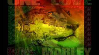 BOB MARLEY  COULD YOU BE LOVED  SAY SOMETHING SUMMER BRAZZ 2009 REGGAELECTRIC REMIX [upl. by Flori]