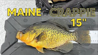 Early Season Crappie Grind Maine Ice Fishing 2023 2024 [upl. by Eitnom203]