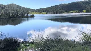 MEDITATION AMONG THE ASPEN TREES IN LAKE TAHOE davidmitchell6972 [upl. by Accalia]