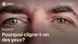 À quoi sert le clignement des yeux  Découverte [upl. by Iaria]