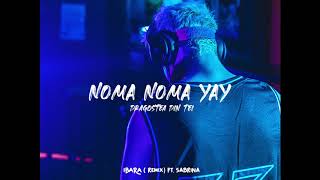 NOMA NOMA YAY Dragostea Din Tei  IBARA Remix ft Sabrina Official Audio [upl. by Eyahc]